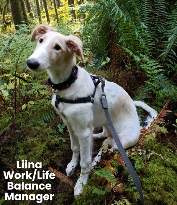 Liina-Work/Life Balance Manager